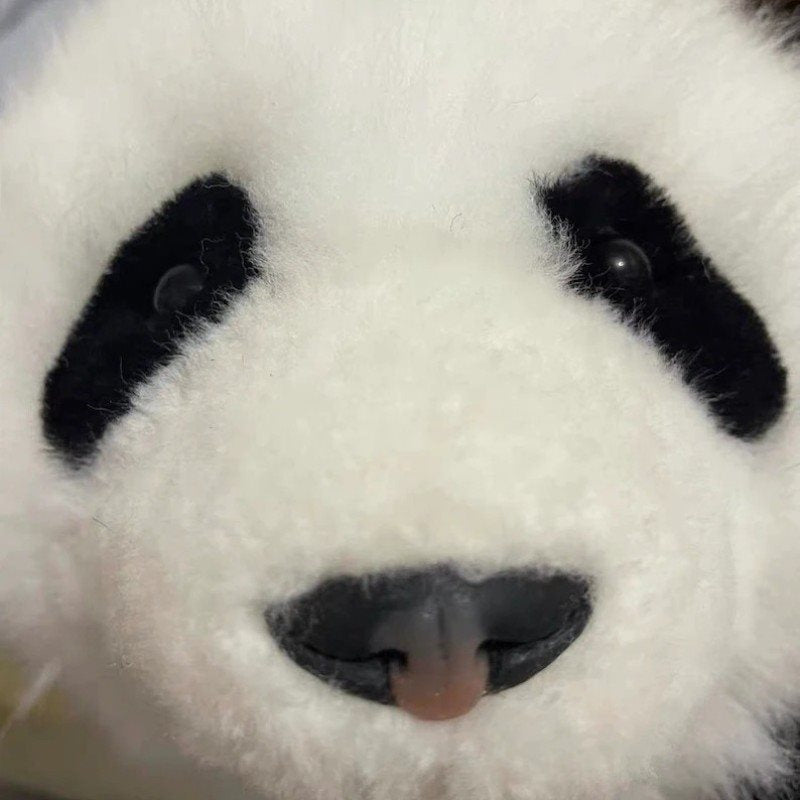 Panda,very realistic, 99% similar to the real panda.Simulation toys, panda toys